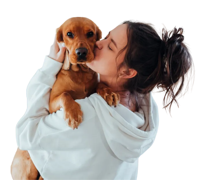 DNA VIP Plan Dog