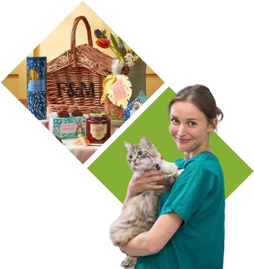 DNA Vets easter vip promo